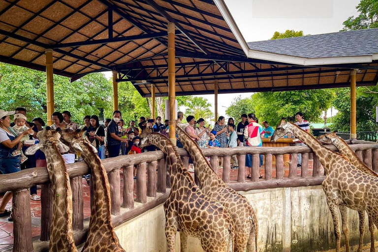 Private Transfer from Bangkok and Hua-Hin | Thailand Van/ Hua Hin to Bangkok
