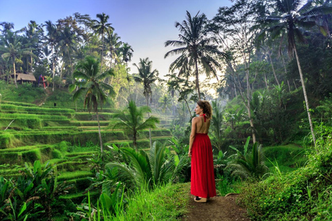 Ubud: Waterfalls, Water Temple & Monkey Forest Shared Tour Shared-Group Tour with Hotel Transfer