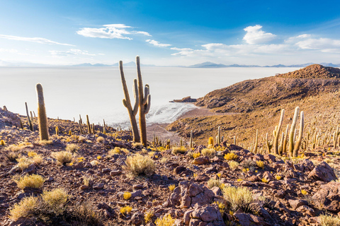 Från La Paz: Uyuni Salt Flats 3-dagars tur med bussbiljetterRUNDTUR PÅ ENGELSKA