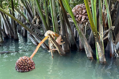 Hoi An Basket Boat