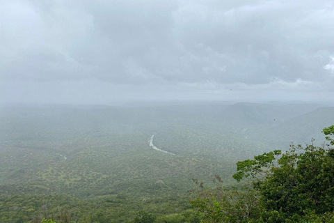 Kwale: Private day tour to Shimba Hills with Picnic lunch