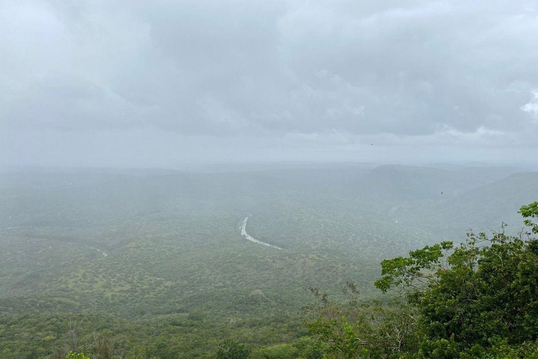 Kwale: Private day tour to Shimba Hills with Picnic lunch