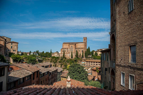 Privétour Toscane naar Pisa, Siena, San Gimignano en lunch