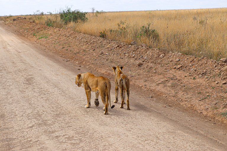 Nairobi National Park: Half-Day TripNairobi National Park: Half-Day Trip in a 4X4