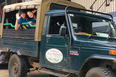 Minneriya National Park Jeepsafari van een halve dag