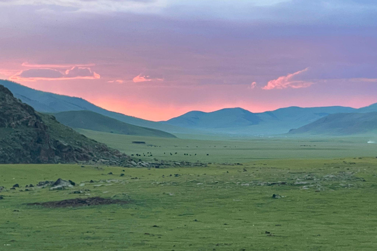 Nomadic Mongolia: Gobi, Steppe & Heritage Tour