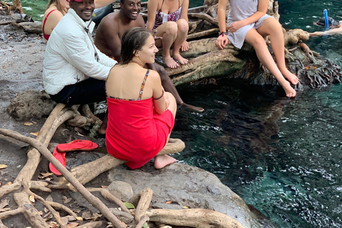 Cascate di Materuni, tour del caffè e sorgenti termali di Chemka: Gita di un giorno