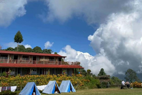 Pokhara: 2-Day Australian Base Camp & Dhampus Trek