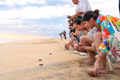 Huatulco: Turtle Release & Bioluminescence Tour