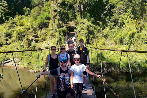 Bangkok: Tour a piedi per piccoli gruppi del Parco Nazionale di Khao YaiTour privato con servizio di prelievo e rientro in hotel