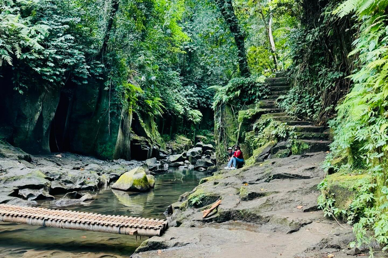 Ubud privato: Cascate, tempio dell&#039;acqua, terrazza di risoTour di un giorno (10-12 ore di tour), escluse le tariffe dei biglietti d&#039;ingresso