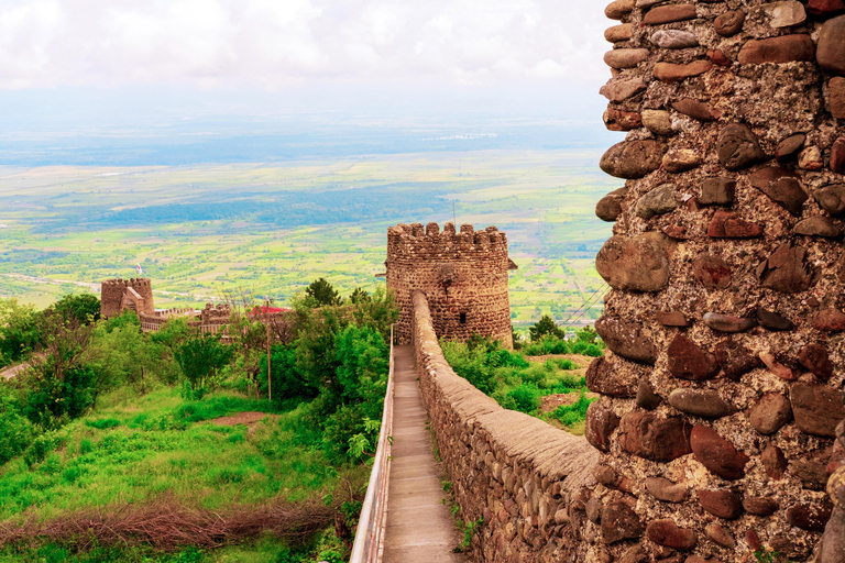 From Tbilisi: Kakheti Wine Region Tour with 9 Wine Tastings