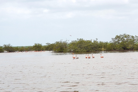 Santa Marta - Parc naturel national Los Flamingos