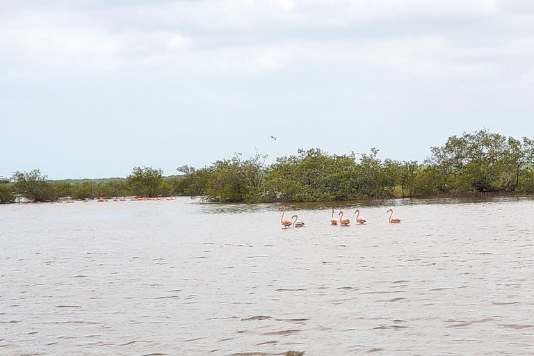 Santa Marta - Parc naturel national Los Flamingos