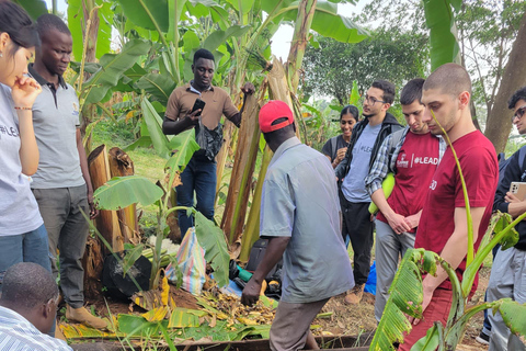 Ssese Islands 4-Day Cultural Tour and beer-making experience