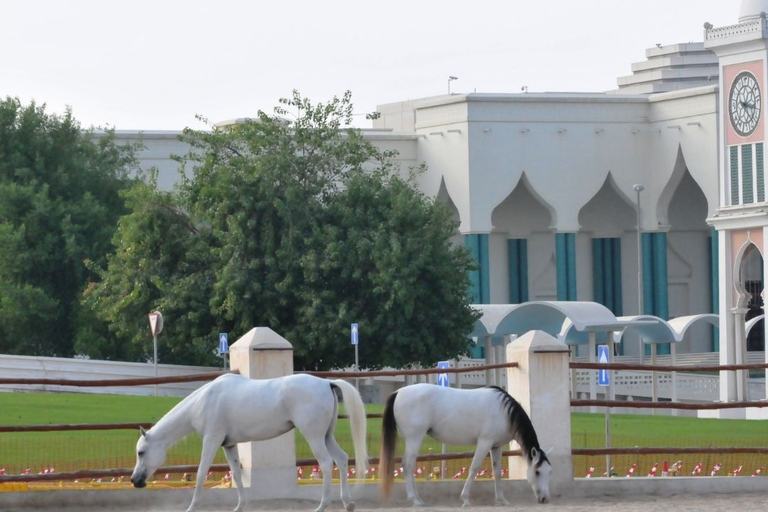 Doha : Visite guidée de Souq Waqif, Corniche, Katara, Pearl