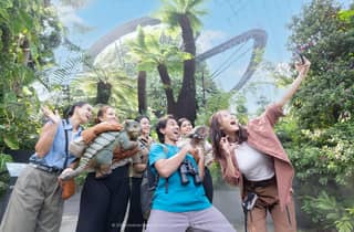 Gardens by the Bay: Eintrittskarten für 2 Domkuppeln & Sammel-Transfer
