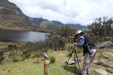 Cuenca: Birdwatching Tour in Cajas National Park with an expert guide Cuenca: Birdwatching Tour in Cajas National Park with an Expert Guide