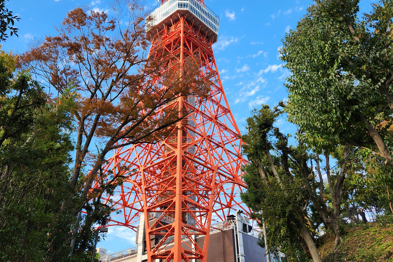 Tokyo : Exclusive Private Day Tour with Personalized Guide 6-Hour Tour