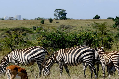 Nationaal Park Nairobi - Halve dag gamedrive: wildhoofdstad