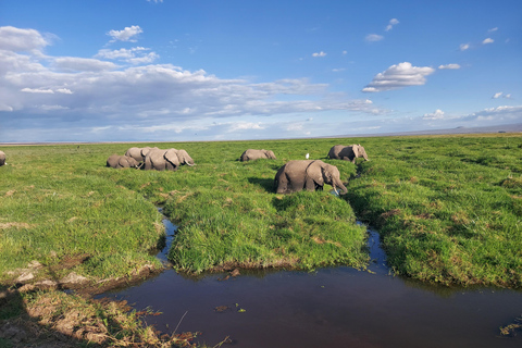 Mombasa: 5-Day Safari- Amboseli, SaltLick, Ziwani & Ngutuni