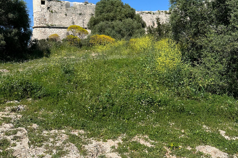 NIZA EN QUAD ELÉCTRICO: visita panorámica desde Niza con aperitivo