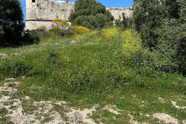 NIZZA IN QUAD ELETTRICO: tour panoramico da Nizza con merenda