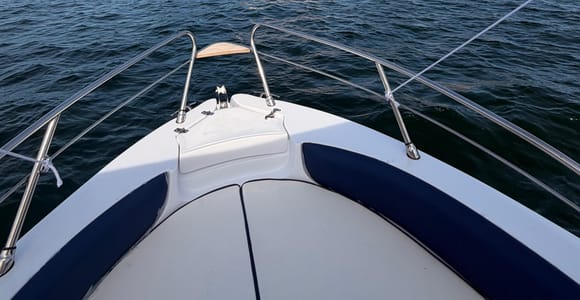 Baveno: Borromean Islands Boat Tour without a License