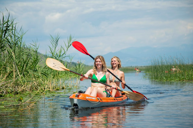 Experience the beauty of Skadar Lake in just 1h!