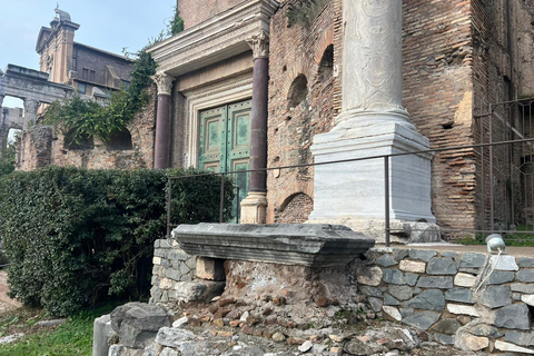 Small Group Guided Tour Colosseum Roman Forum, Palatine Hill Standard Tickets