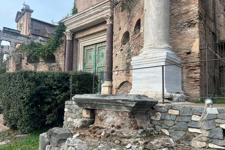 Small Group Guided Tour Colosseum Roman Forum, Palatine Hill Standard Tickets
