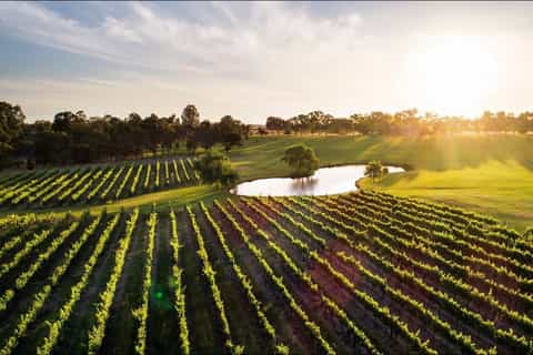Swan Valley: Tour with 5 star Culinary Chefs 5 course lunch. - Image 3
