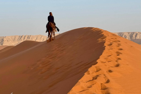Excursion à cheval dans le désert de RiyadBalade à cheval dans le désert de Riyad