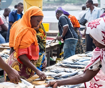 Dar es Salaam: Guided Fish Market Tour