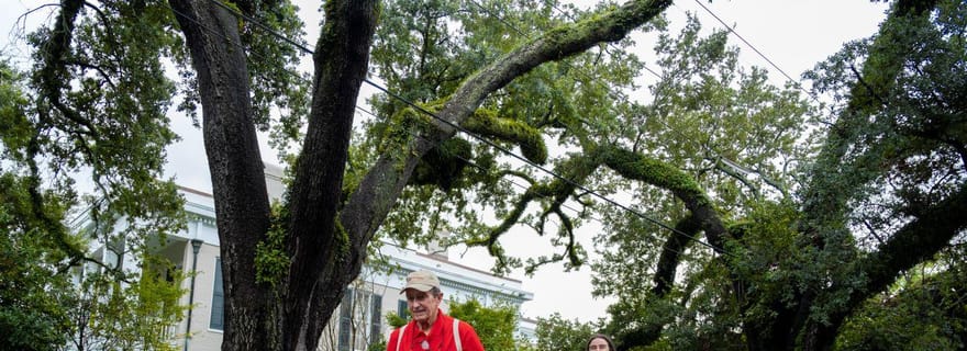 Le Garden District de La Nouvelle-Orléans : histoire et trésors cachés