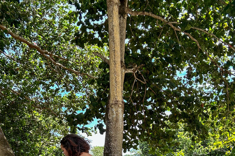 Praslin: Private Half Day Curieuse, Snorkeling & Island Walk Full day curieuse
