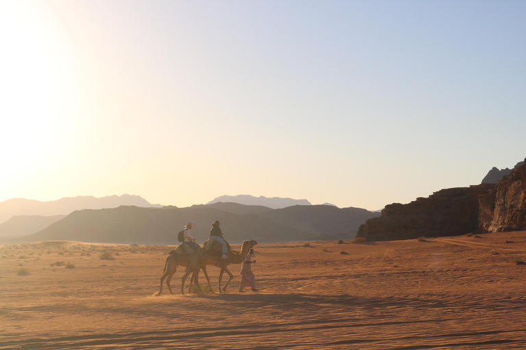 Wadi Rum: Famous place UNESCO Jeep Tour Camel Ride Option Full-Day Tour Hiking Jordan's Highest Mountain
