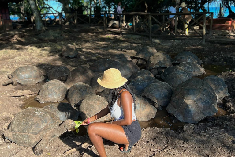 Ciudad de piedra y prisión Isla