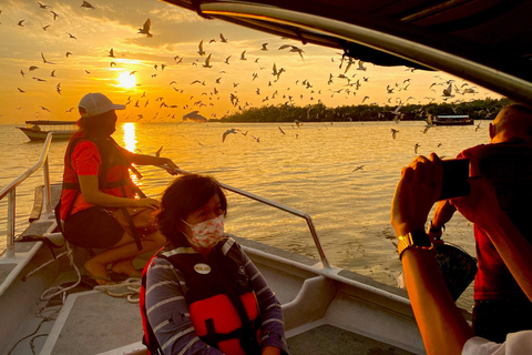 Kuala Selangor: Eagles, Fireflies & Blue Tears Boat Tour