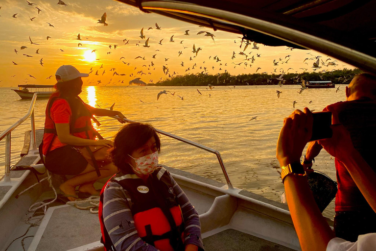 Kuala Selangor: Eagles, Fireflies & Blue Tears Boat Tour