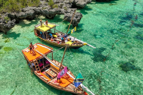 Mnemba Island: Delfiner och snorkling med gratis upphämtningDelad tur: Gratis upphämtning i Nungwi/Kendwa och Mnemba-avgifter