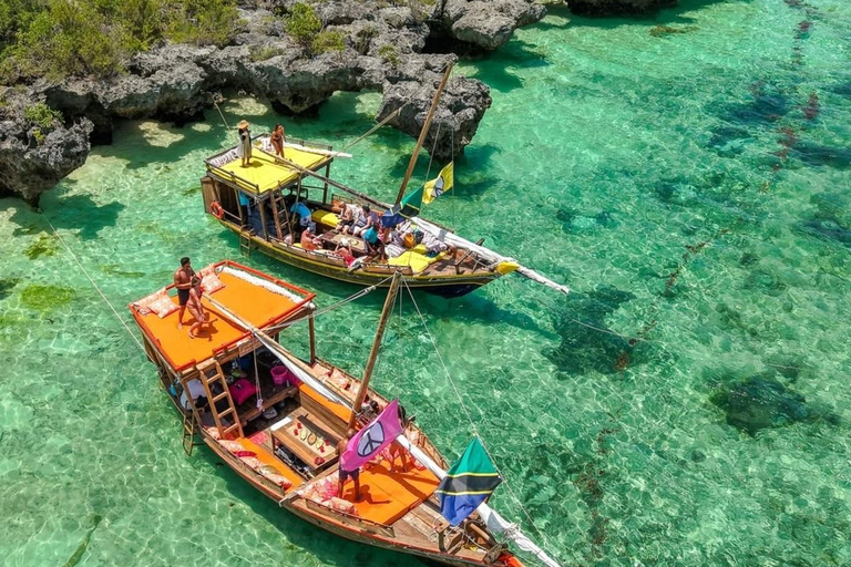 Mnemba Island: Delfiner och snorkling med gratis upphämtningDelad tur: Gratis upphämtning i Nungwi/Kendwa och Mnemba-avgifter