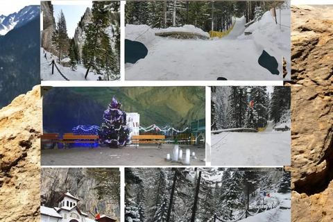 Sinaia: Guided ATV & Buggy Adventure to Ialomitei Cave