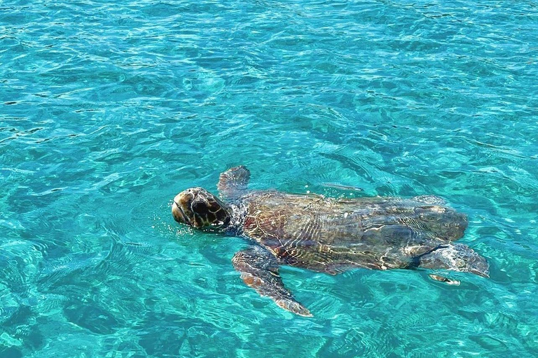 Zakynthos: Private Boat Tour with Captain South Zakynthos : 5-hour Private Boat Tour with Captain