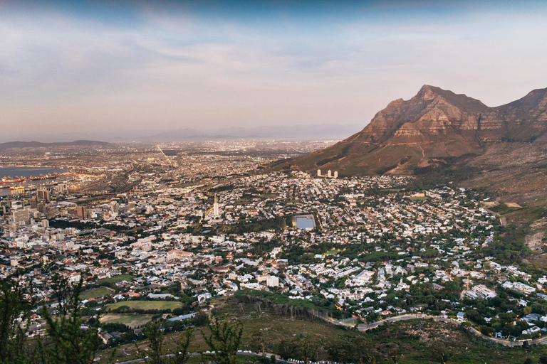 Cape Town: Lion's Head Sunrise or Sunset Hike