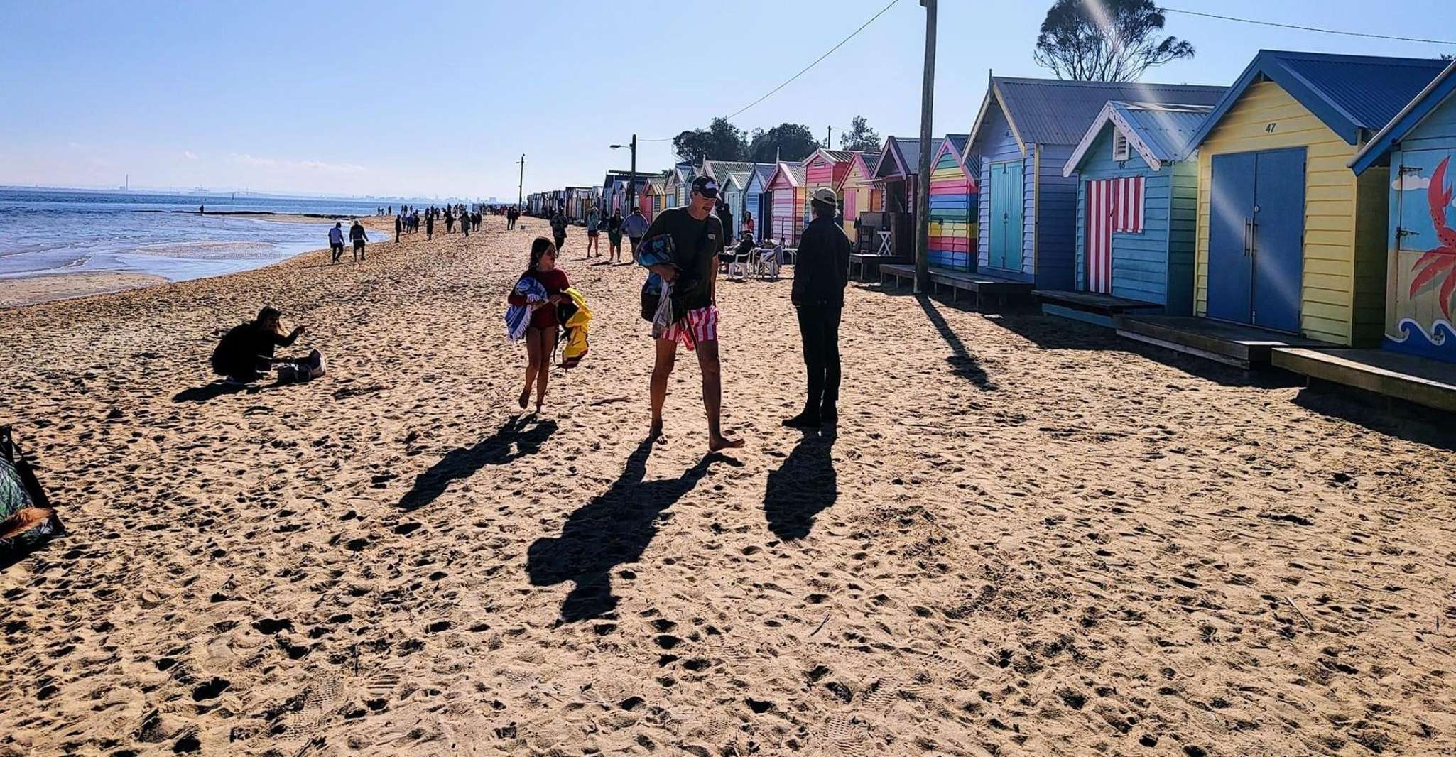 Melbourne: Moonlit Sanctuary and Brighton Beach Boxes Tour photo 4