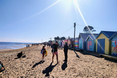 Recorrido de medio día por el Santuario iluminado por la Luna y las Cajas de Brighton Beach