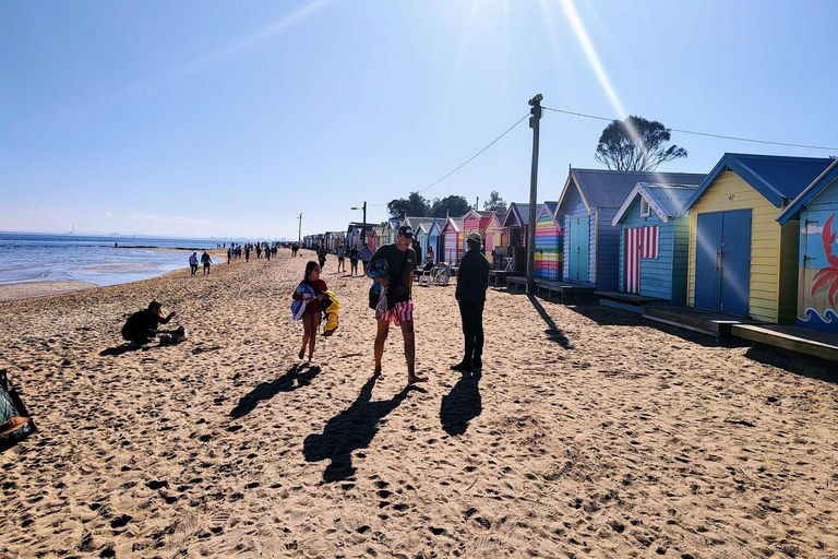 Recorrido de medio día por el Santuario iluminado por la Luna y las Cajas de Brighton Beach