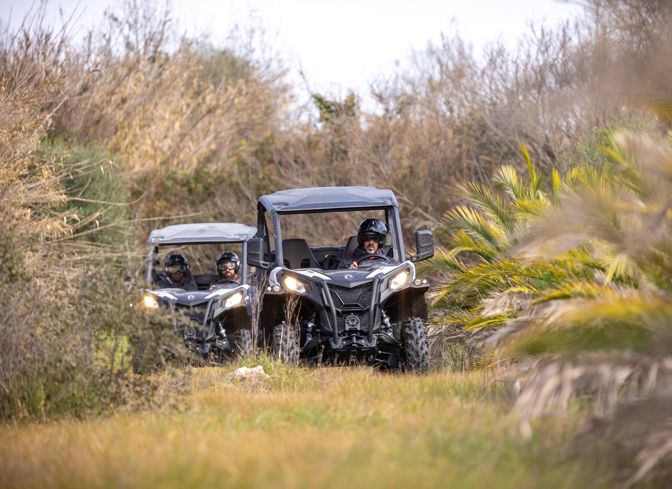 Fra Porto: Off-road buggy-eventyr