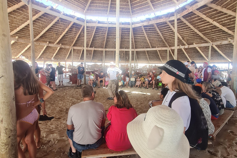 La epopeya pirata de Djerba: crucero legendario hacia la isla de los flamencos rosados